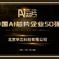 高光时刻 | 苹芯科技入选中国AI芯片企业50强